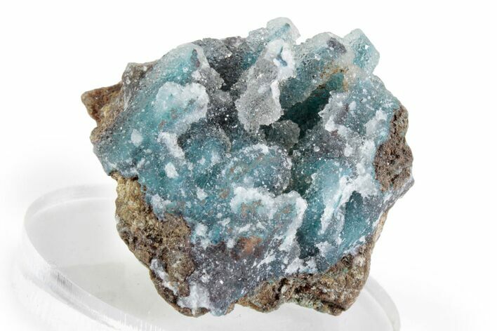 Sparkling Druzy Quartz on Chrysocolla - DR Congo #366175